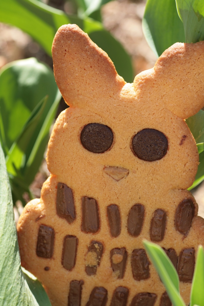 Rabbit Easter cookies