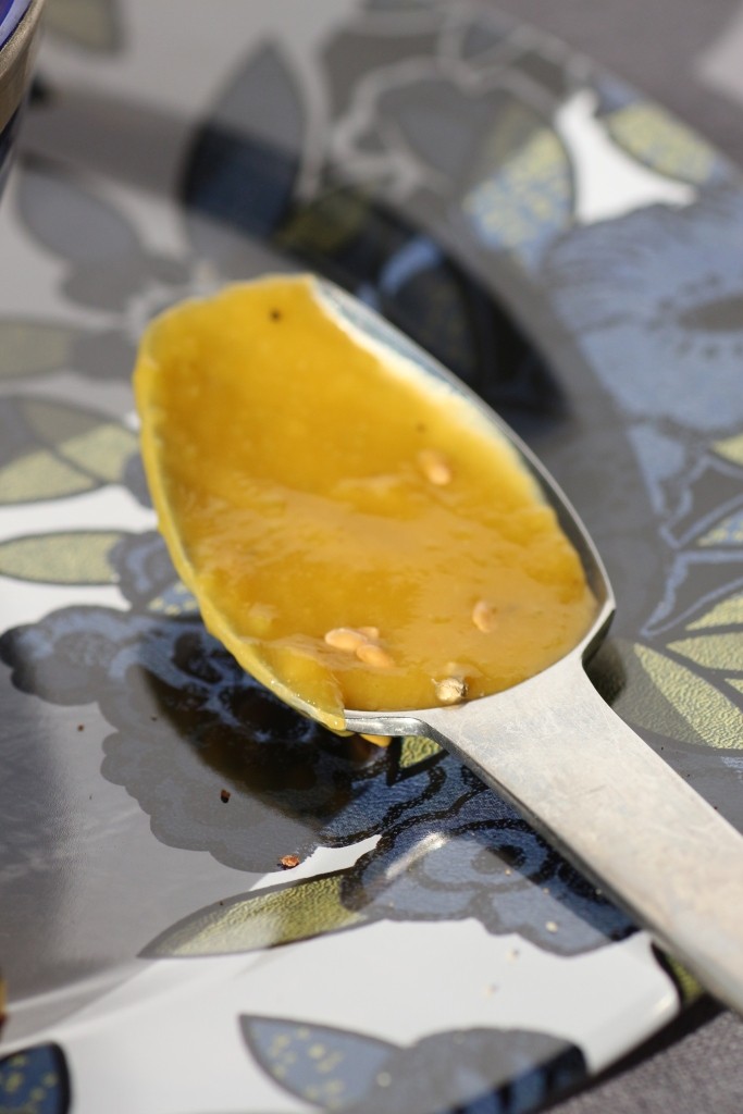 risotto coquillettes truffe 056