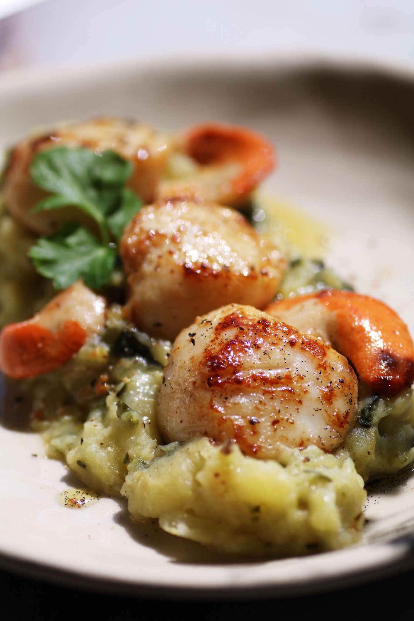 Coquilles Saint Jacques poêlées à la vanille Chocolat et Vieilles Dentelles